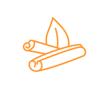 Цілі спеції