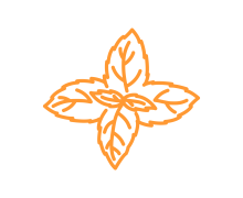 Пряні трави