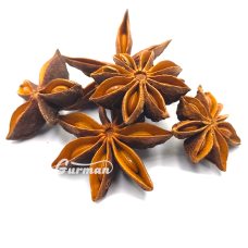 Бодян (зірчастий аніс)