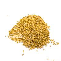 Гірчиця біла ціла