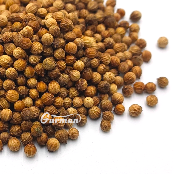 Кориандр горошек