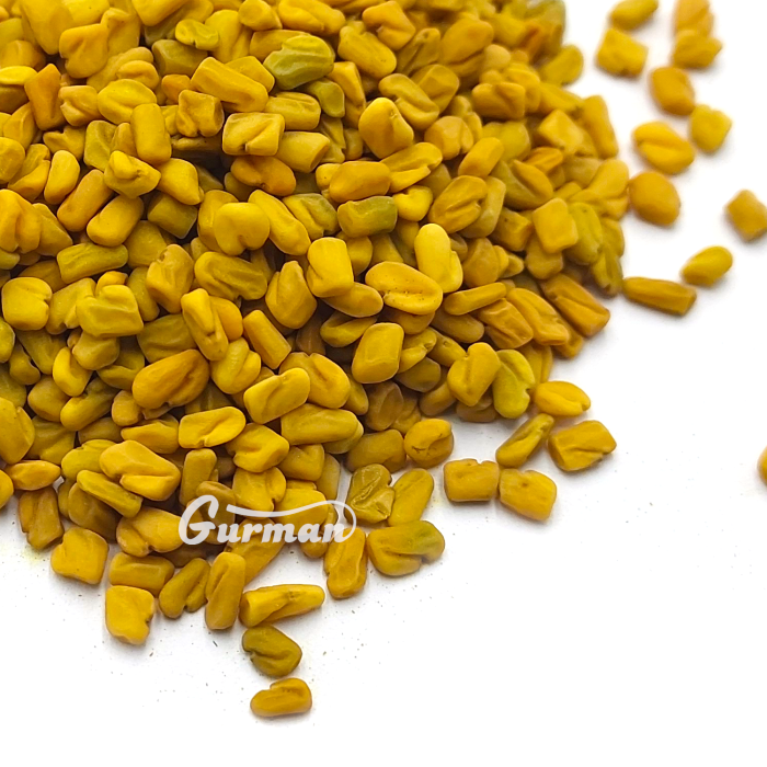 Пажитник (чаман, фенугрек)