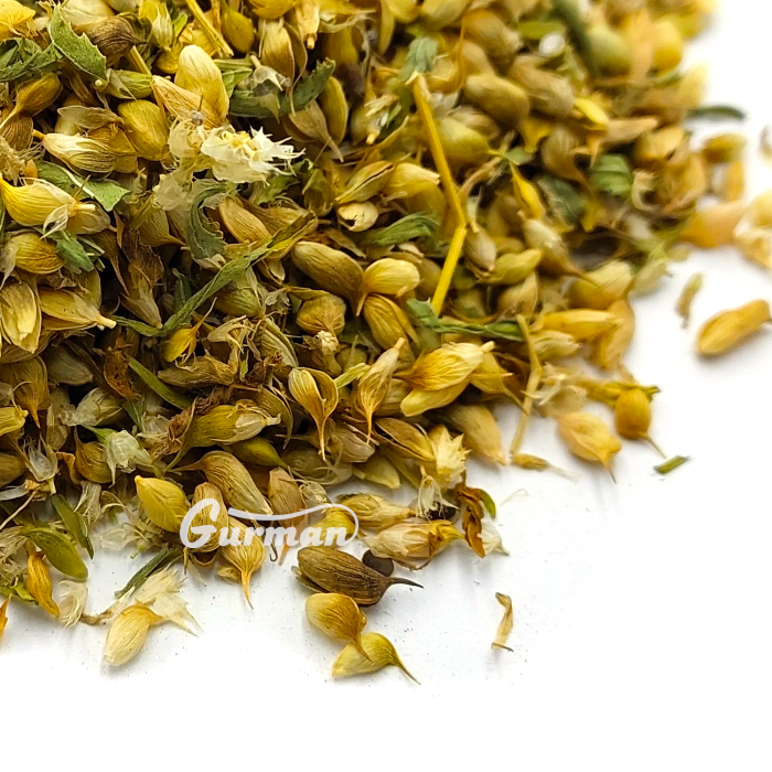 Уцхо-сунели