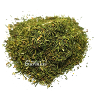 Кріп зелень