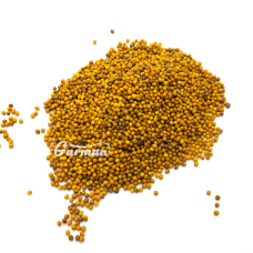 Гірчиця жовта ціла